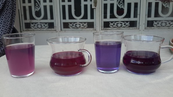 お茶を淹れる際の水のph値によって変化する青色